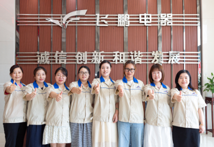 Даньян Фэйпэн Электроприбор Ко., Лтд.